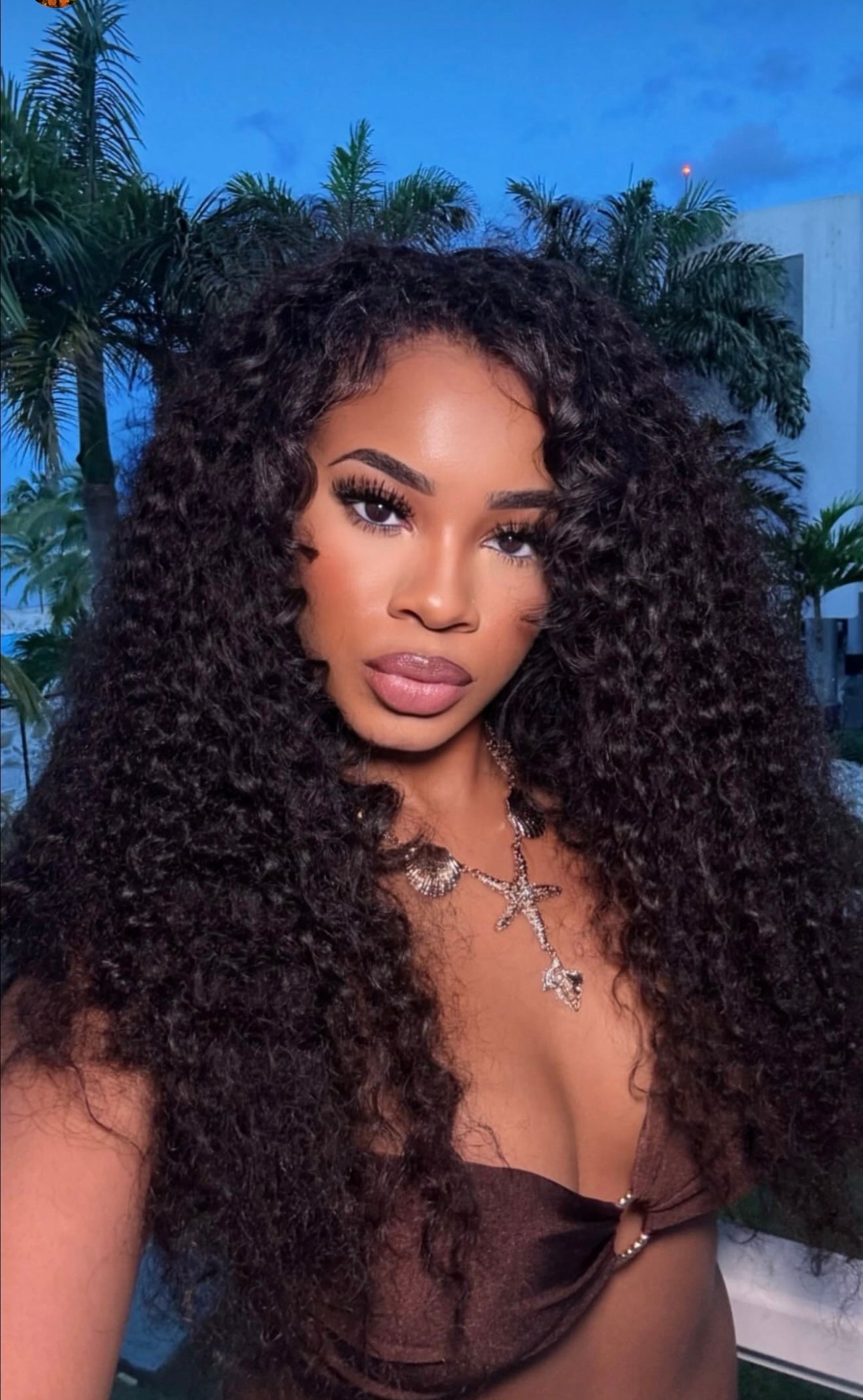 Burmese Curly